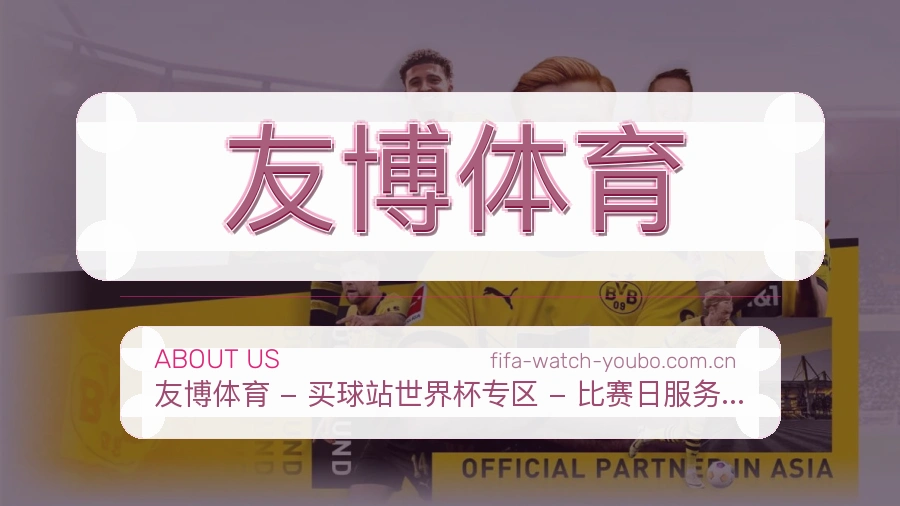 友博体育服务范围介绍